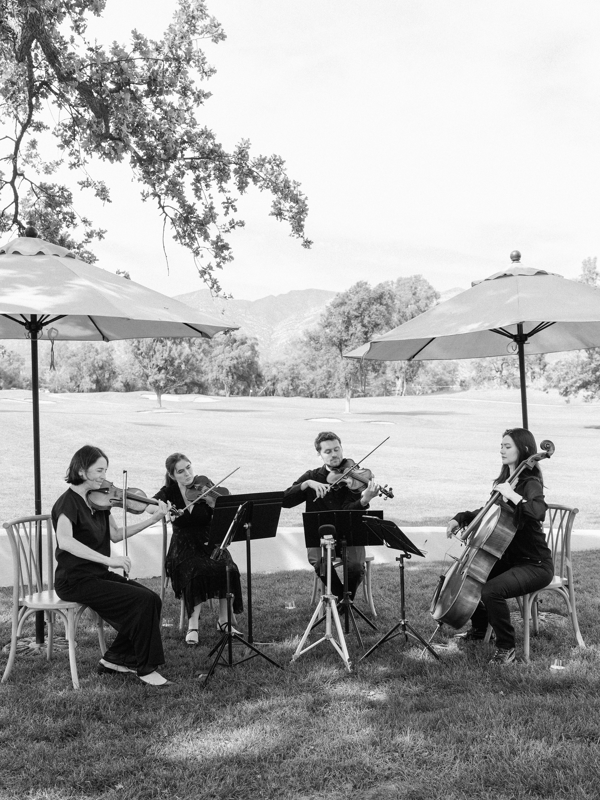 Santa Barbara String Quartet performing in Ojai