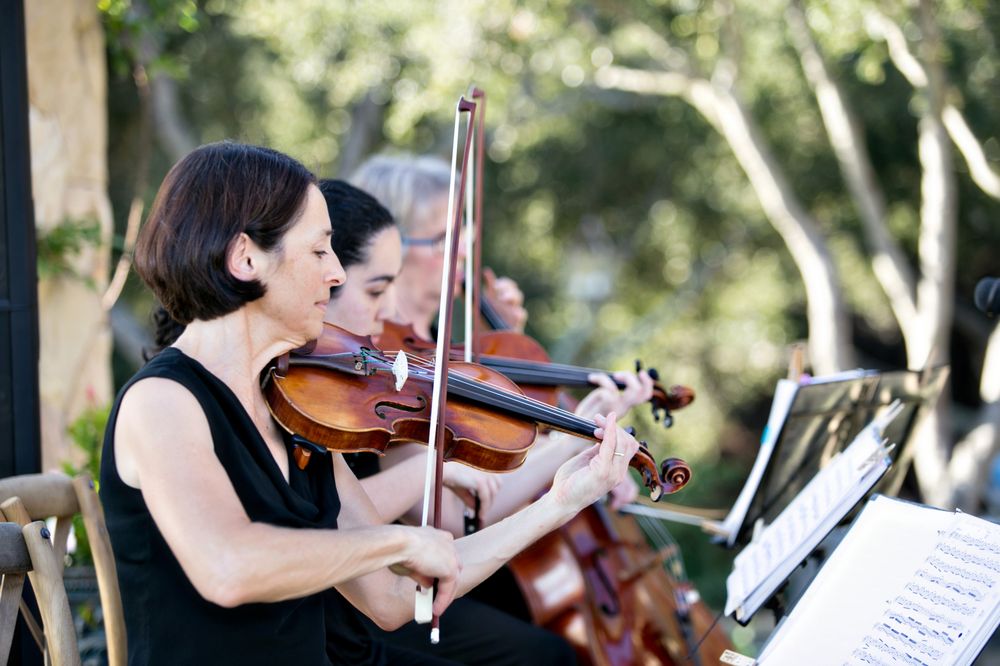 Santa Barbara String Quartet performing at a vineyard wedding