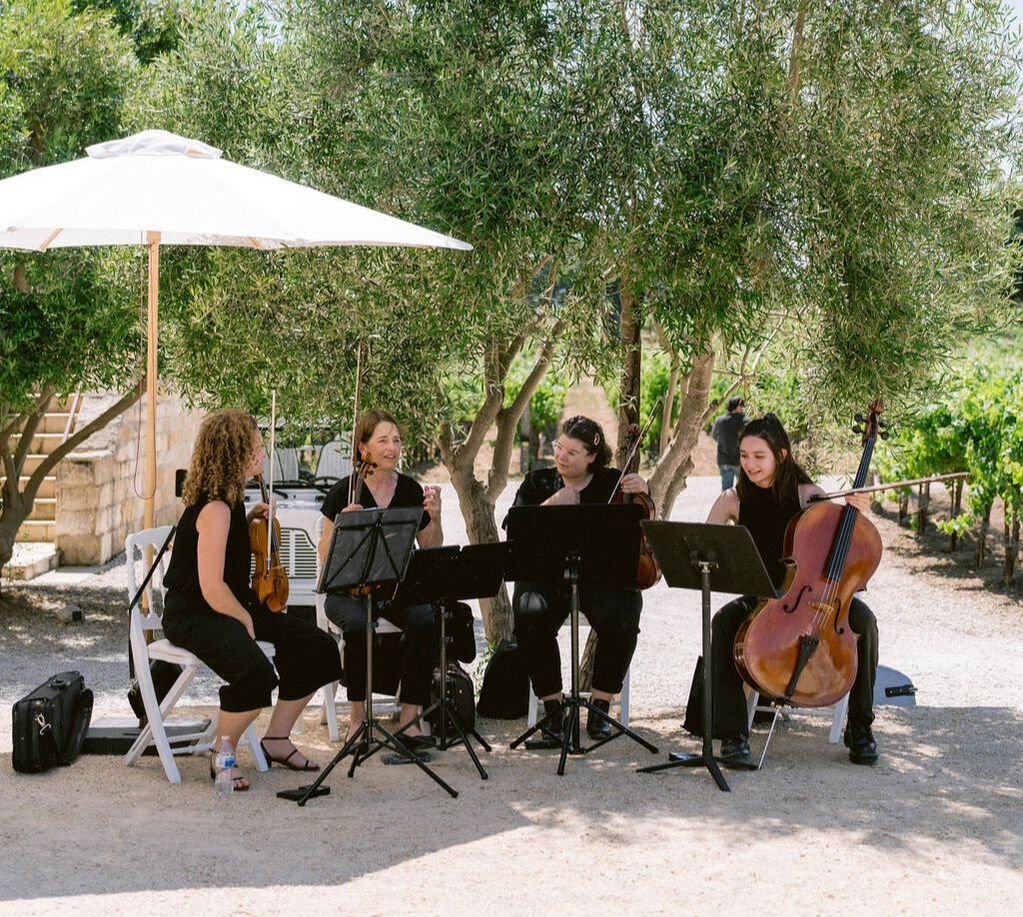 Santa Barbara String Quartet performing outdoors