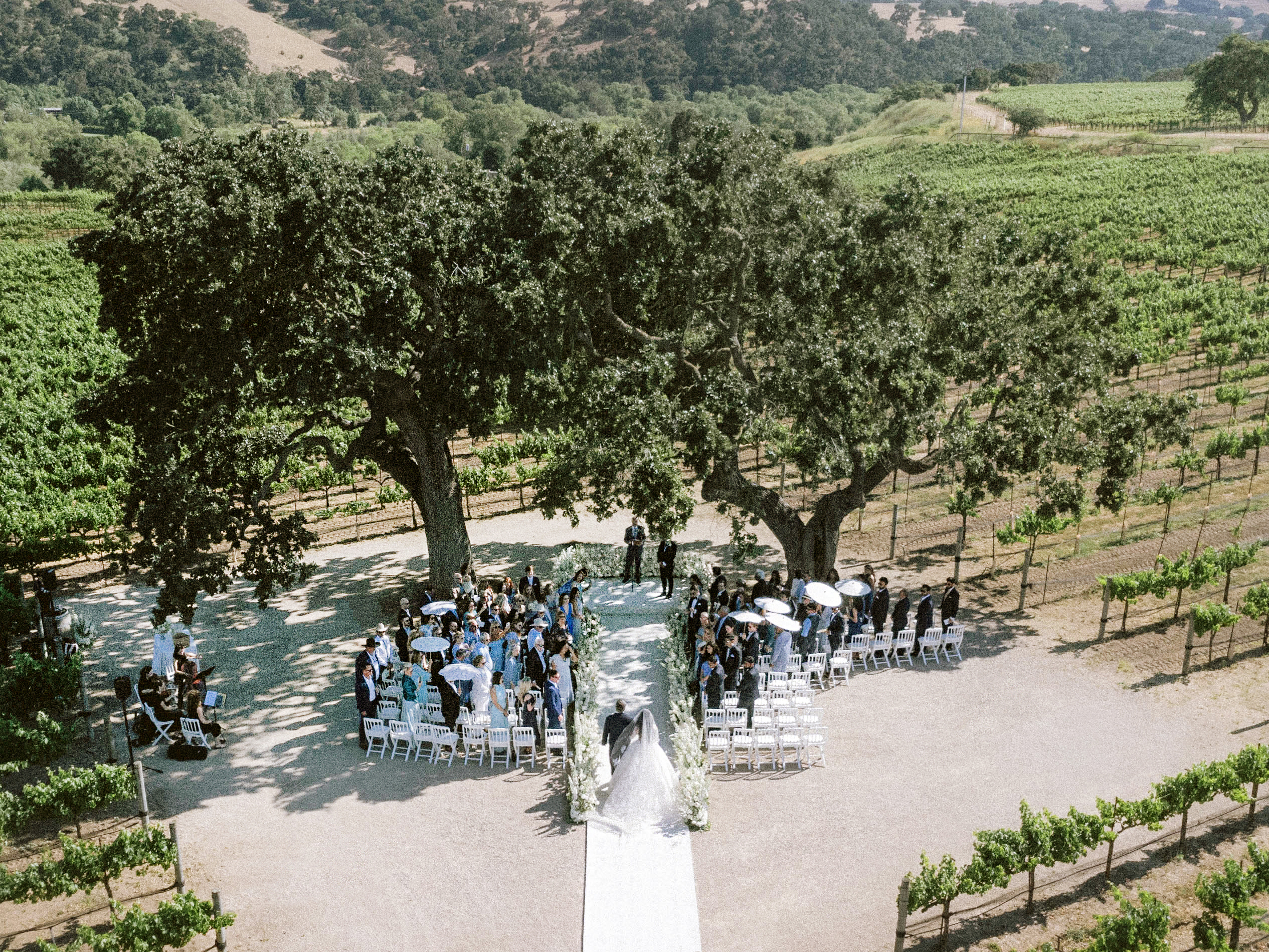Wedding ceremony beneath oak trees in Santa Barbara wine country