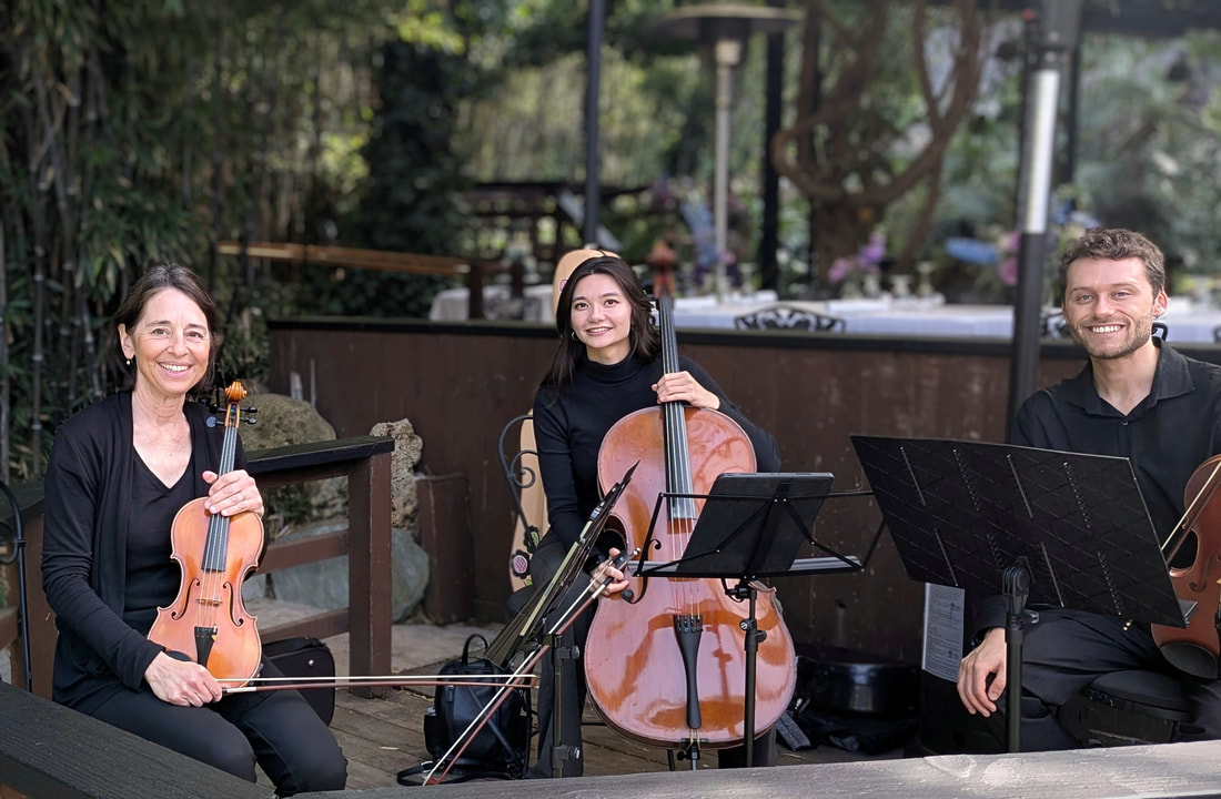 Santa Barbara string trio